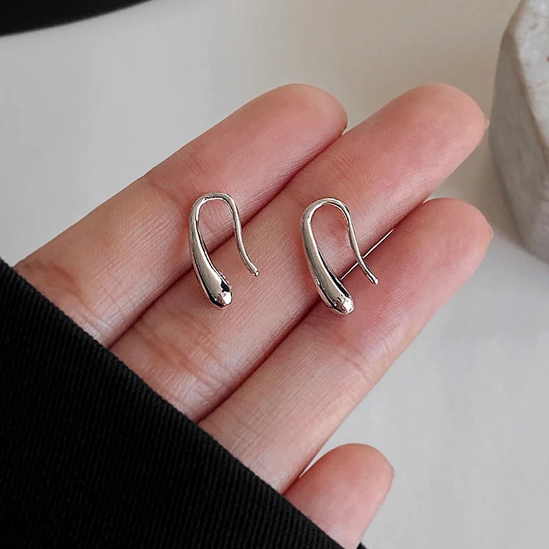 Water Drop Earrings 925 Silver