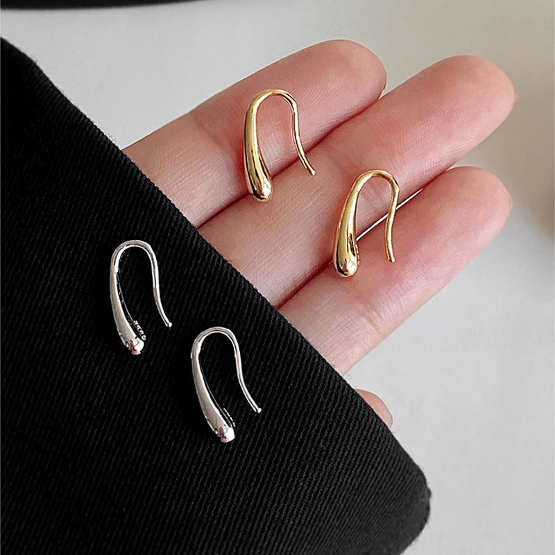 Water Drop Earrings 925 Silver