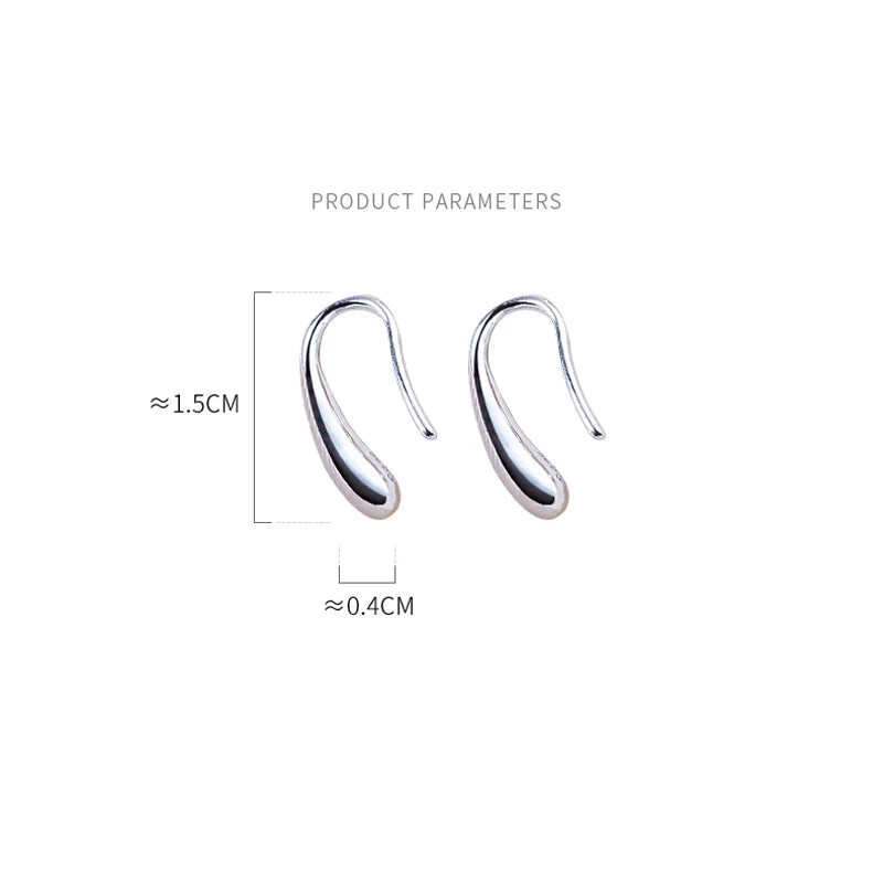 Water Drop Earrings 925 Silver