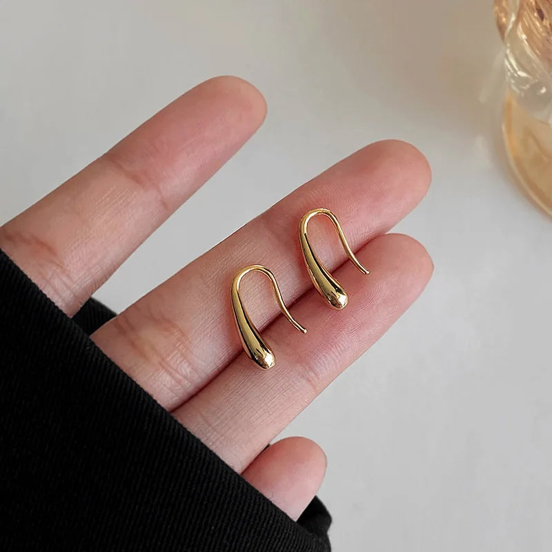 Water Drop Earrings 925 Silver
